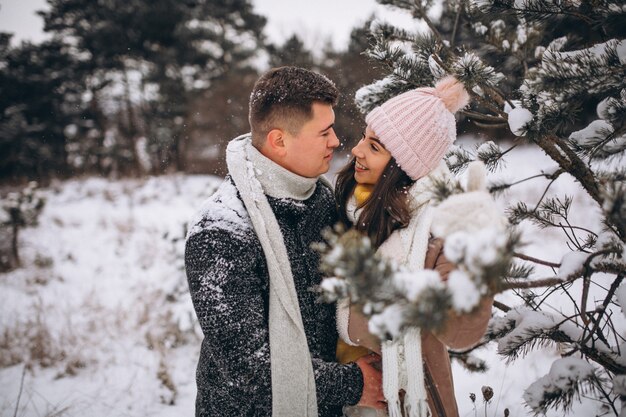 Pareja joven en el parque de invierno