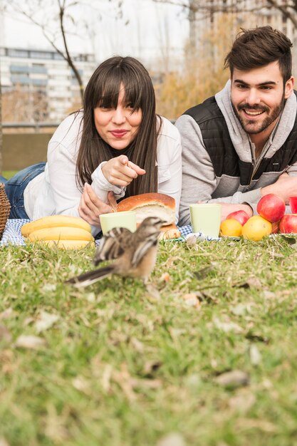 Pareja joven sonriente en picnic mirando a gorrión en hierba verde