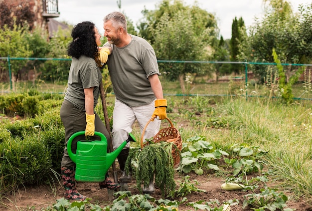 Pareja mayor, cosecha, zanahorias