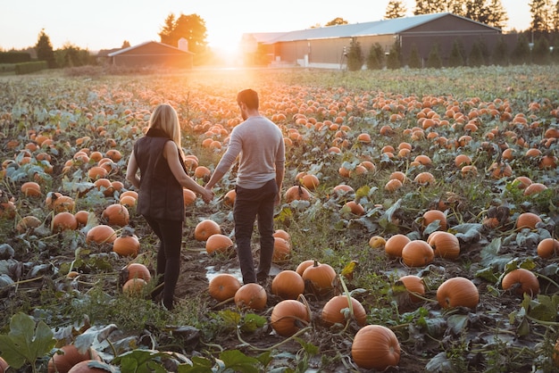 Pareja de pie en el campo de calabaza