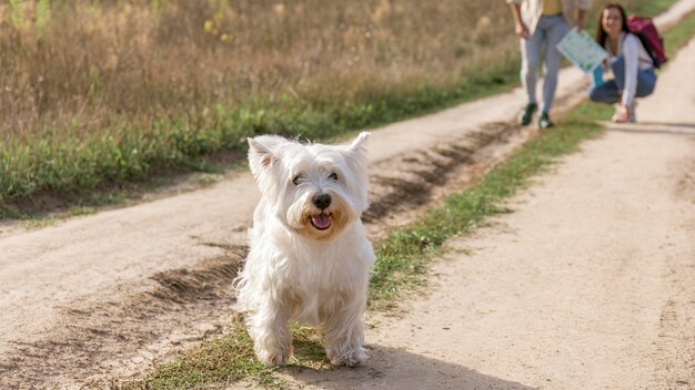 Pareja de primer plano con perro al aire libre