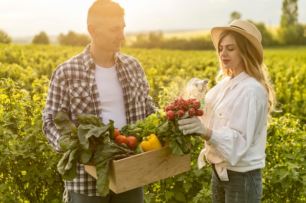 Pareja recogiendo verduras