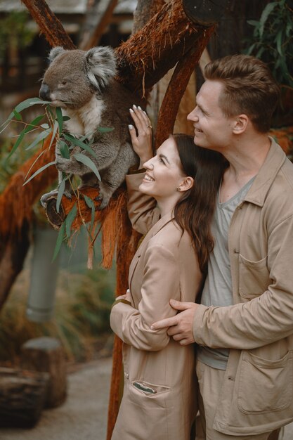 Pareja en la reserva está jugando con un koala