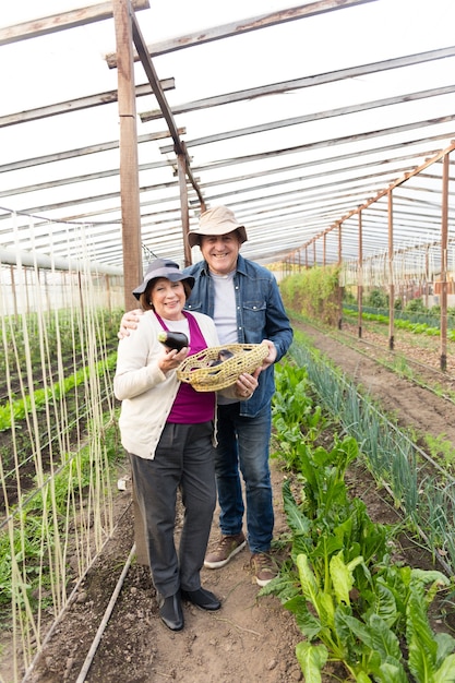 Pareja sonriente sosteniendo una cesta con berenjenas