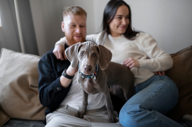 Pareja sonriente de tiro medio con perro