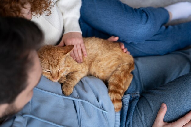 Pareja sosteniendo lindo gato durmiente