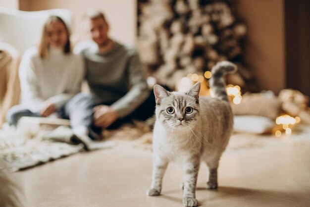 Pareja con su gatito celebrando la Navidad