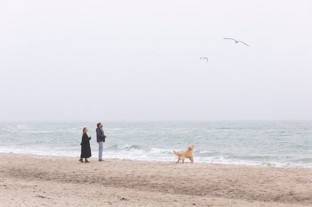 Pareja de tiro lejano con perro en la playa