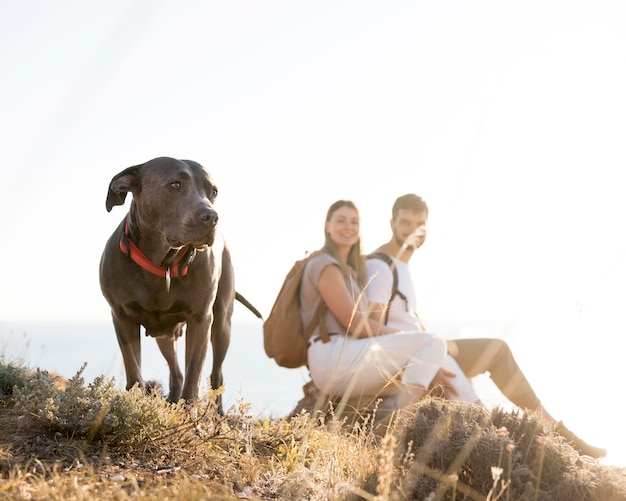 Pareja viajando con su perro