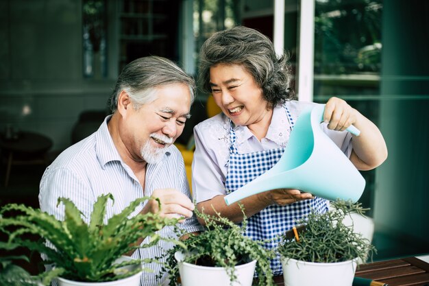 Parejas mayores hablando juntos y plantar árboles en macetas.