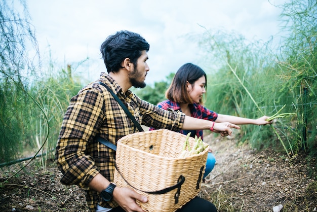 Foto gratuita los pares jovenes del granjero cosechan los espárragos frescos con la mano juntos puesta en la cesta.
