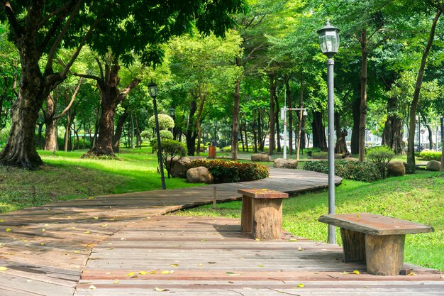 Parque con un camino de madera y bancos