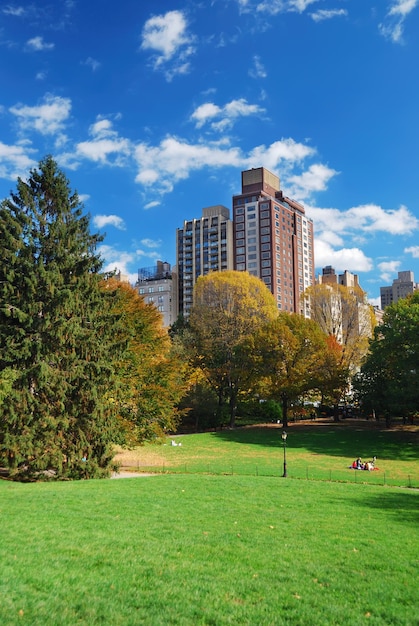 Foto gratuita parque central de manhattan de la ciudad de nueva york