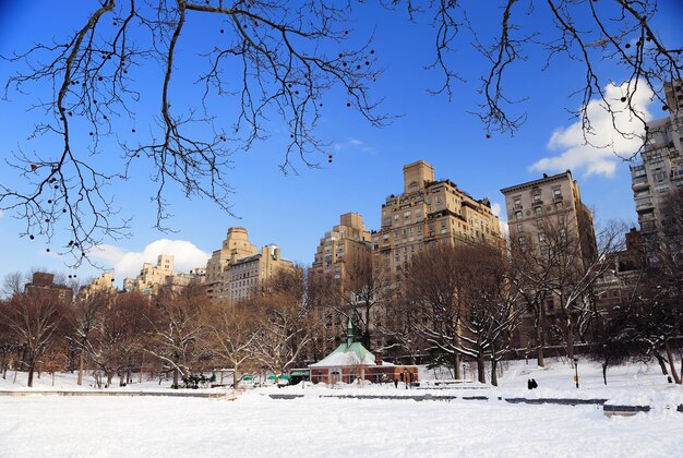 Parque Central de Manhattan de Nueva York en invierno