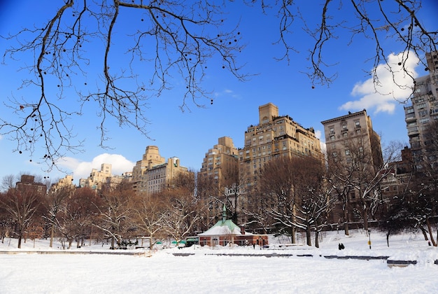 Parque Central de Manhattan de Nueva York en invierno
