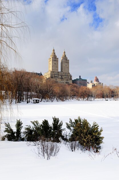 Parque Central de Manhattan de Nueva York en invierno
