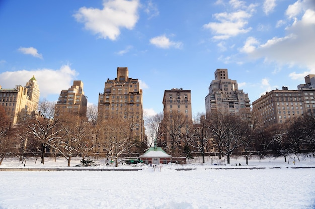 Parque Central de Manhattan de Nueva York en invierno