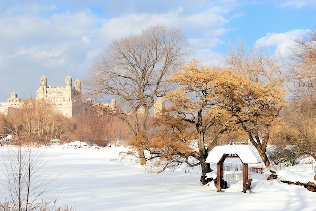 Parque Central de Manhattan de Nueva York en invierno