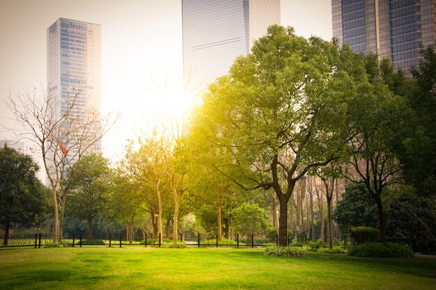 Parque en el centro financiero de lujiazui, Shanghai, China