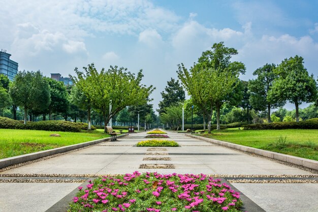 Parque en china