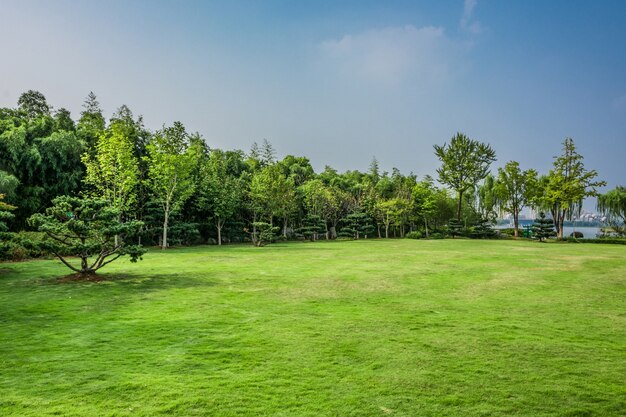 Parque en china