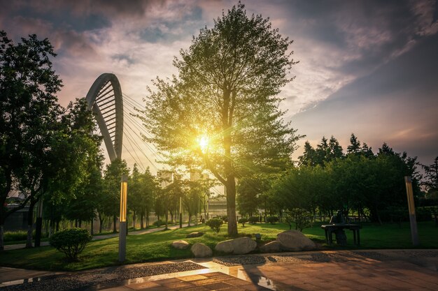 Parque en china