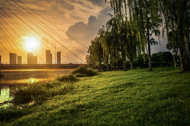 Parque en china