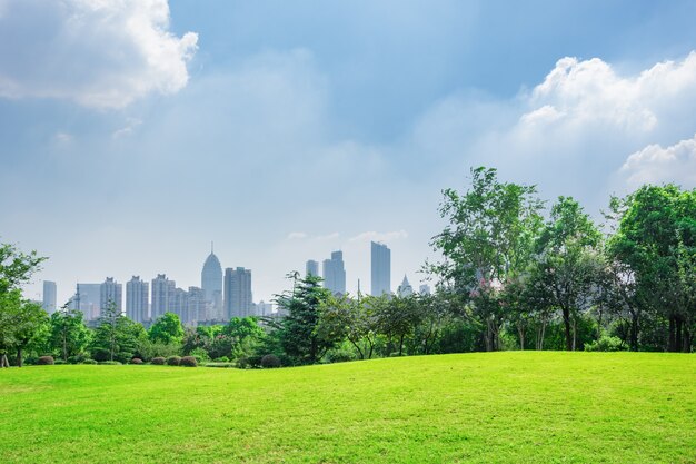 Parque de la ciudad bajo el cielo azul con el horizonte céntrico en el fondo