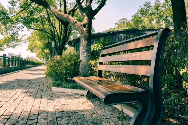 Foto gratuita parque de la ciudad verde