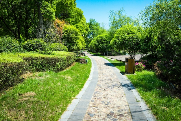 Parque de la ciudad verde