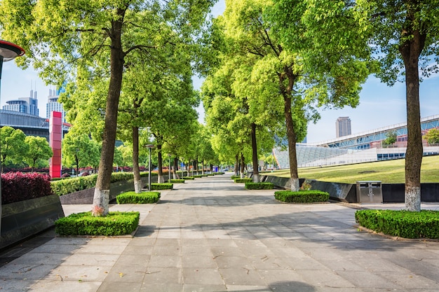 Parque de la ciudad