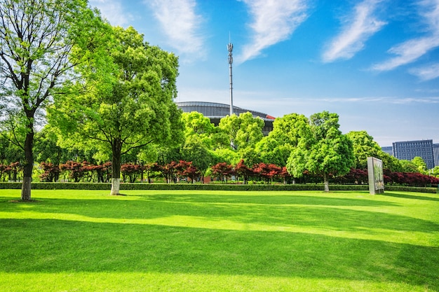 Parque de la ciudad