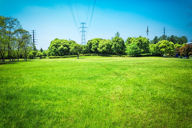 Parque de la ciudad