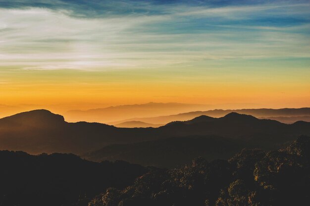 Parque de Ecología Ambiental de pastizales de montaña concepto de naturaleza