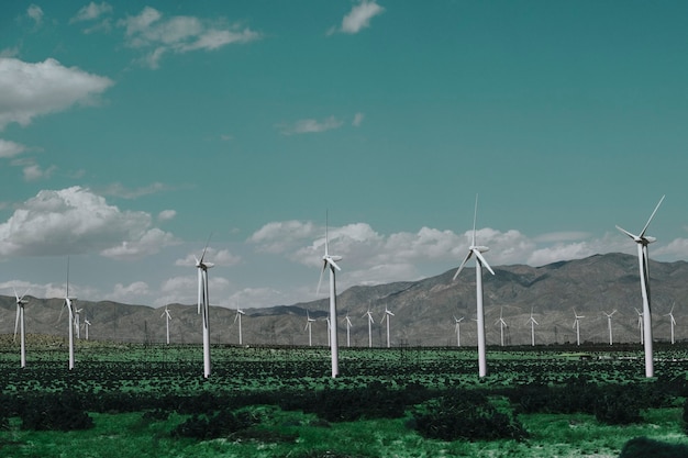 Parque eólico para energías renovables y sostenibles