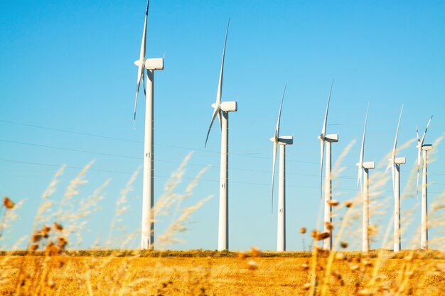 Parque eólico en tierras de cultivo