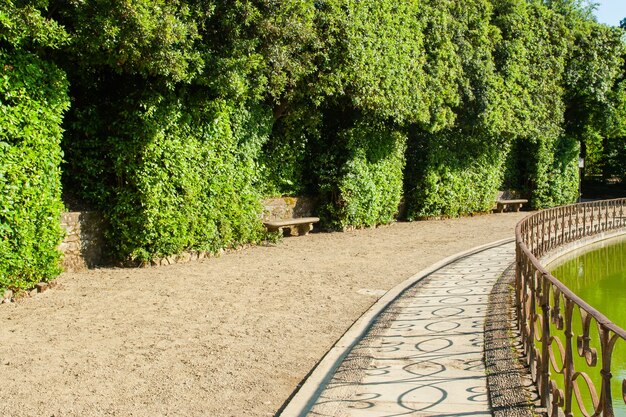 Parque con estanque y arbustos