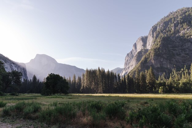 Parque Nacional de Yosemite en el Valle de Yosemite en los Estados Unidos