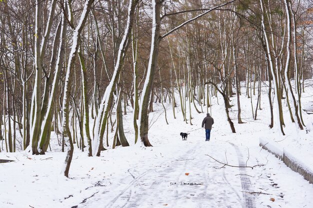 Parque y nieve.