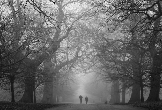 Un parque oscuro espeluznante con dos personas en la distancia