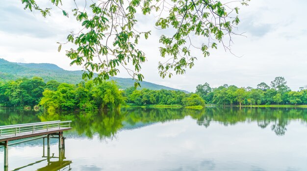 parque verde hermoso con el lago, Ang Kaew en Chiang Mai Universi