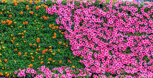 Parques florales de piedra flor de flor pública