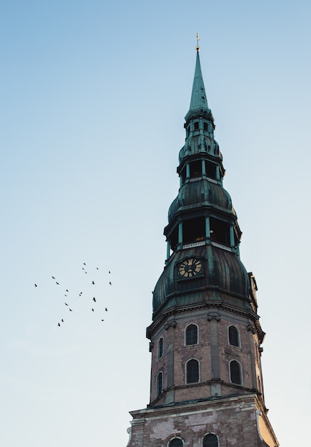 La parte superior de una torre del reloj con la parte superior verde y pájaros volando al lado