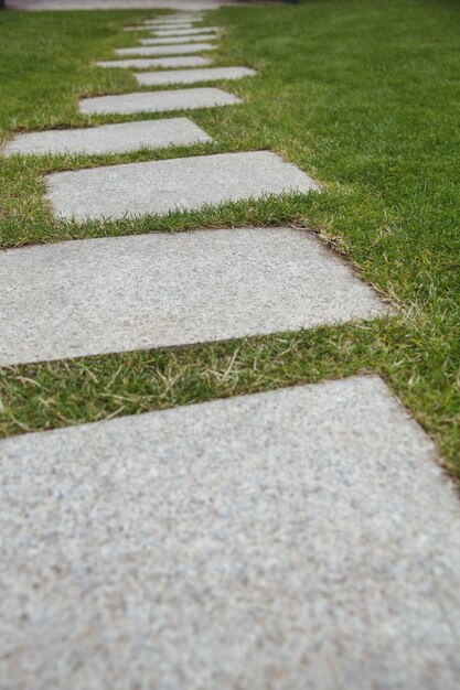 pasarela de cemento en el jardín