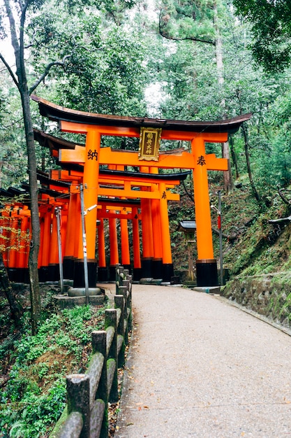 Foto gratuita pasarela fushimi inari torii rojo en japón