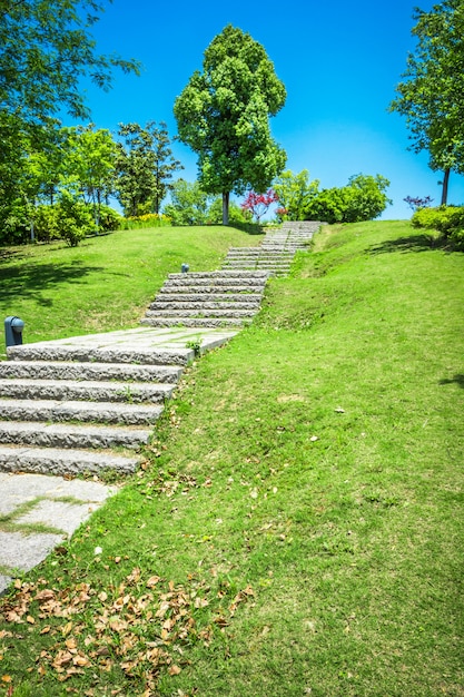 Pasarela, jardín, bangkok, Tailandia