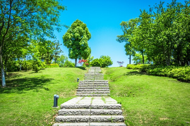 Pasarela, jardín, bangkok, Tailandia