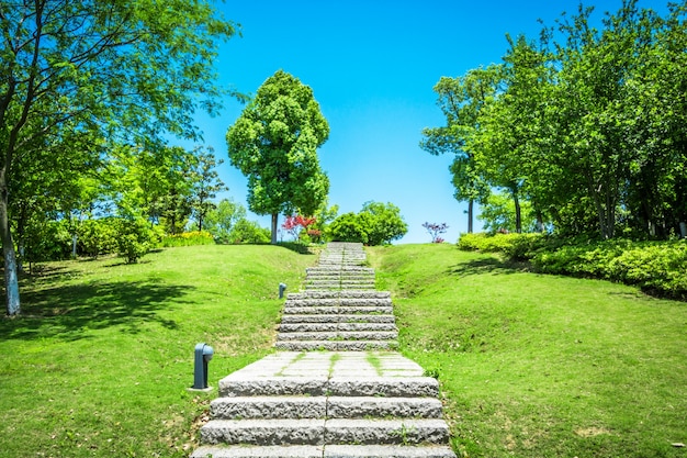 Pasarela, jardín, bangkok, Tailandia