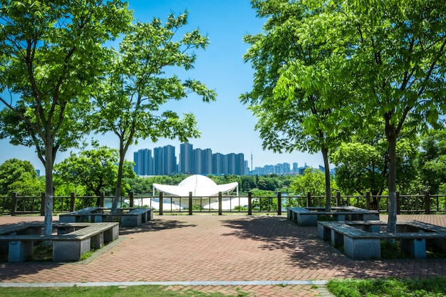 Pasarela, jardín, bangkok, Tailandia