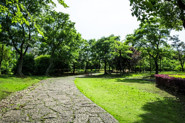 Pasarela, jardín, bangkok, Tailandia